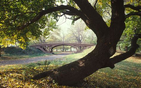 Central Park - Central Park Photo (32583839) - Fanpop