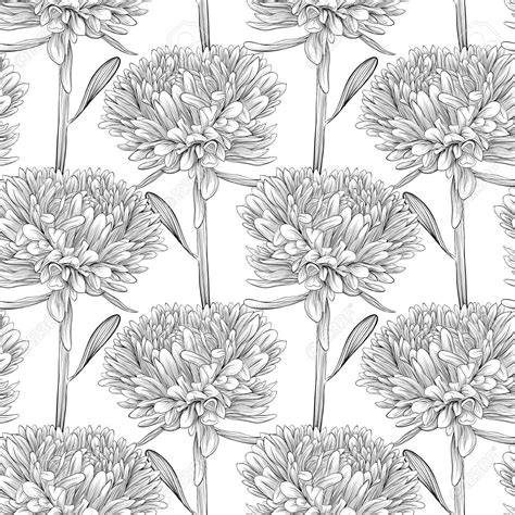Floral handrawn background floral vector background, file organized with layers. black and white drawing aster flower - Google Search ...