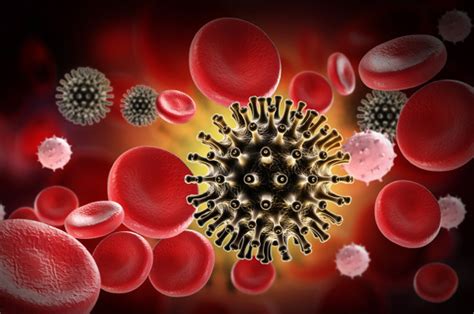 The human immunodeficiency viruses (hiv) are two species of lentivirus (a subgroup of retrovirus) that infect humans. Second person in history reportedly cured of HIV