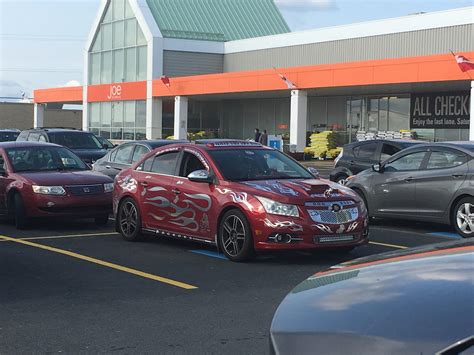 Dog, dogs, elf, good, news, saw, today. I'm speechless, saw this guy at the grocery store today ...