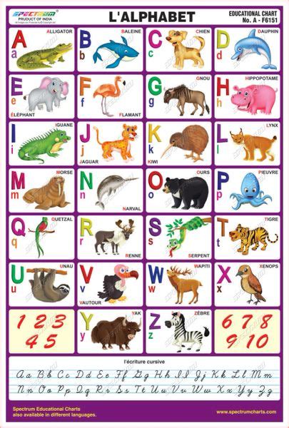 How can this set of alphabet pictures help students in lesson? L'Alphabet (French Alphabets)