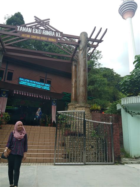 There's also a pond that's great for a quick dip in balmy weather (which is most of the time, really, in kl). Bersiar-siar ke Taman Eco Rimba KL, Bukit Nenas - Azwar ...