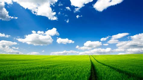 We have 57+ background pictures for you! Pure Nature HD Wallpapers | HD Wallpapers | ID #8841