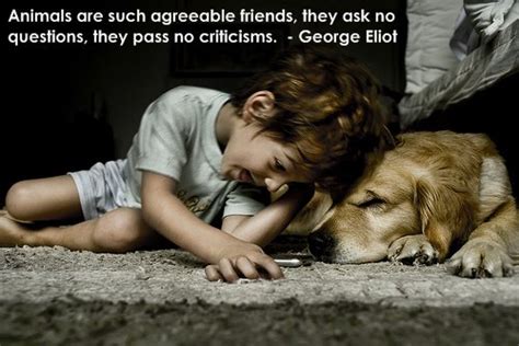 Check out these best quotes about dogs from groucho marx, charles m. Animal Quote Images - Present Outlook