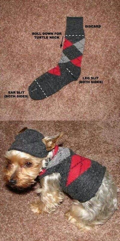 It's how they make decisions like: How to make a puppy sweater out of a sock! Great DIY dog ...