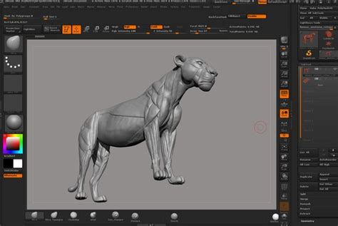 Any custom adjustments by your request.ma.ma.fbx.dxf.dwg.stl. Big Cat Anatomy Sculpture - Lioness | Anatomy sculpture ...