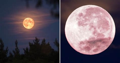 Les plus belles tenues des stars aux oscars 2021. La Super Lune rose d'avril sera visible dans le ciel dès la semaine prochaine