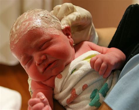 Most hippos are born in the water, but they can't actually swim, the zoo said. Baby's First Bath | Two hours post-birth, little Adam gets ...