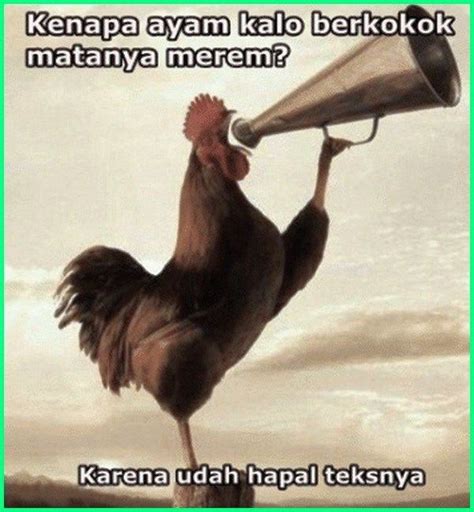 Check spelling or type a new query. 12 Meme Ayam Paling Gokil dan Kocak yang Bikin Ngakak ...