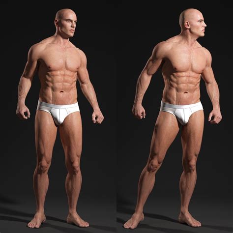 Often, scientists refer to either the lower torso or the upper torso for better clarity. Male Body - Anatomy Study by Andor Kollar | Pose_Male ...