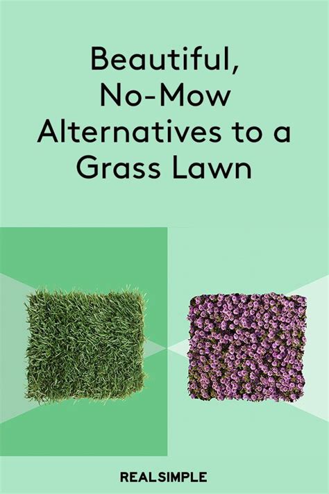 Artificial grass is best for creating a lush and grassy lawn in the backyard. Beautiful, No-Mow Alternatives to a Grass Lawn | Grass ...