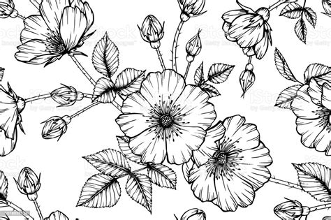 See more ideas about floral drawing, flower drawing, embroidery patterns. Seamless Dog Rose Flower Pattern Background Black And ...