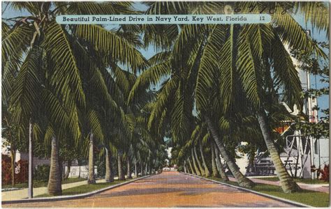 However, their romance is complicated by the arrival of another kevin, nicknamed space, and buddy hank decide to abandon the routine life to drive across the country. Beautiful palm-lined drive in Navy yard, Key West, Florida ...
