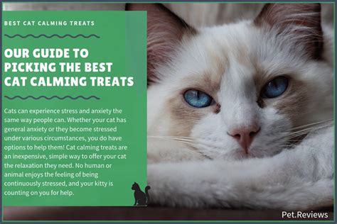 Calm treats no heat manufacturing process maintains ingredient integrity while giving your canine a tasty flavorful treat your dog will love. 7 Best Cat Calming Treats With Our 2020 Budget-Friendly Pick