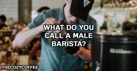 The humps on the camel's back. What Is A Male Barista Called? - TheCozyCoffee