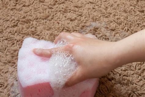 Einen hochflor teppich mit hausmittel, wasser oder in der waschmaschine richtig reinigen ohne hohe preise. Sisalteppich reinigen » Erprobte Methoden im Überblick