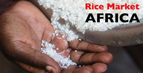 Basmati rice importers total records 106. Rice Importers in Africa Face New Challenges - Africa ...