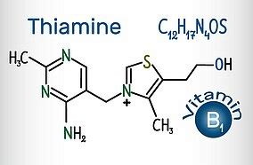 Thiamin — thiamin, vitamin b1, zu den wasserlöslichen vitaminen gehörende thiamin — strukturformel struktur von thiaminchlorid … Vitamine