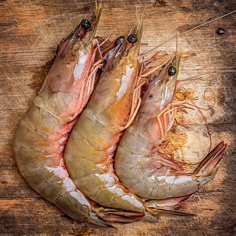 Fry the battered shrimp in the hot oil until golden. Cold Cooked Shrimp - Cold Cooked Shrimp / 4 Ways To Cook ...