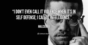 The government is responsible for the violence, as long as they don't stop it. Malcolm X Quotes On Racism. QuotesGram