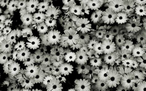 There are times when you need a beautiful presentation, something that can leave everybody amazed. Black And White Aesthetic Laptop Wallpapers - Wallpaper Cave
