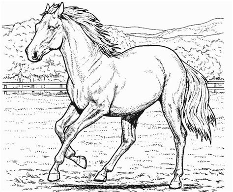 Horses are gorgeous creatures symbolizing dynamism, spiritedness and innocence. Horse Coloring Pages 2021: Best, Cool, Funny