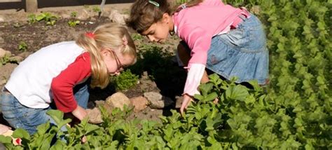 Beiträge über kinder im garten von ele54. Kinder für den Garten begeistern