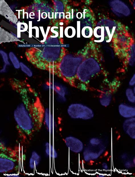 The Journal of Physiology: Vol 594, No 24