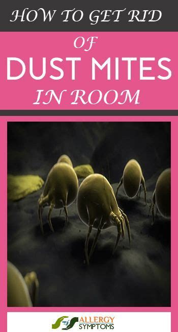 These mites do not bite but can be quite a nuisance when they enter a. How To Get Rid of Dust Mites in a Room #DustMites http ...