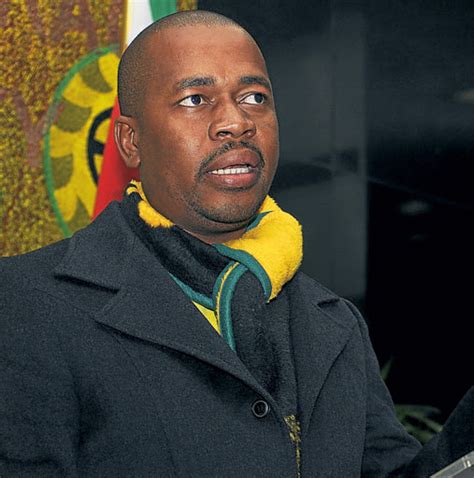 Chairperson of the anc ekurhuleni regional executive committee and executive mayor of the city of ekurhuleni www.change.org/supportthenationalcommandcouncil. Ekurhuleni mayor Mzwandile Masina survives motion of no confidence