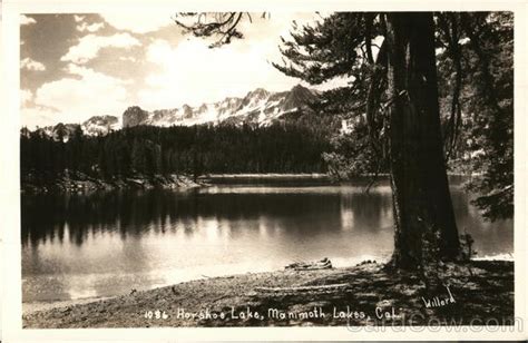 Highway 395 for 16 miles, then returns. Horseshoe Lake Mammoth Lakes, CA Postcard