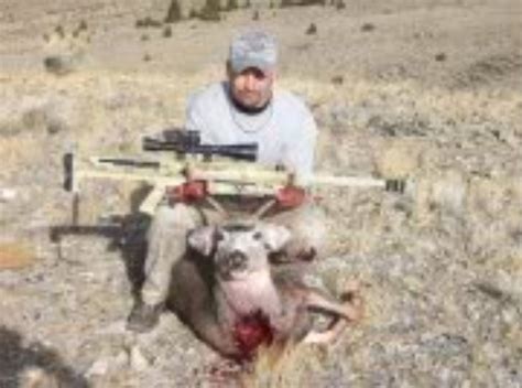 The m2 can turn its target's skeleton into a shotgun blast taking place inside their body. 650 yard Mule Deer Neck shot with Barrett model 99 .50 cal