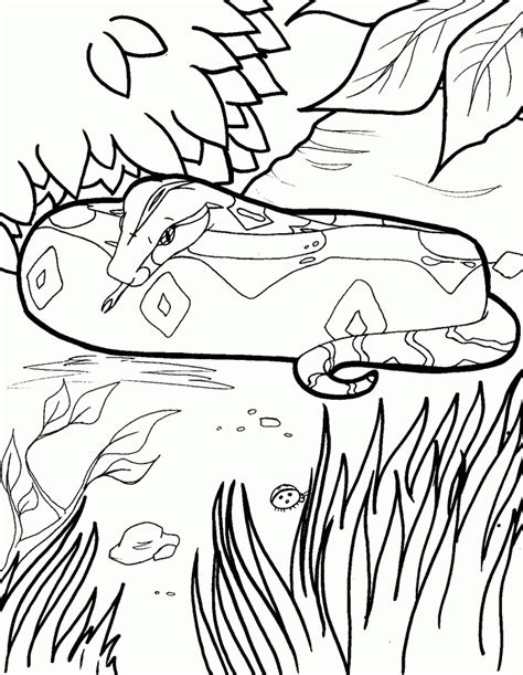 This boa coloring pages will helps kids to focus while developing creativity, motor skills and color recognition. Boa Constrictor Coloring Page - Coloring Home