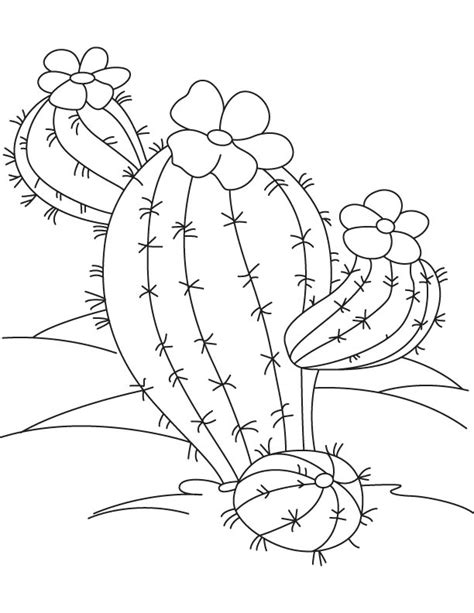 You can download online or print directly from website. Desert cactus coloring page | Download Free Desert cactus ...