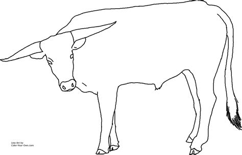 Find the perfect bull skull stock illustrations from getty images. Longhorn Steer Coloring Page