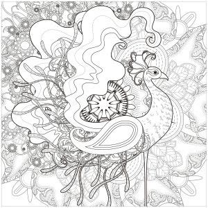 Hand drawn peacock for anti stress coloring page with high details, isolated on white background, illustration in zentangle style. Paons - Coloriages difficiles pour adultes