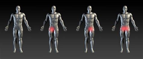 Groin strains most commonly occur in the muscles on the inside the leg, but the strain can also occur in the front of the hip or at the bottom of your abdomen. Groin Strain: Symptoms and Treatment - Apex Centre