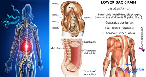 Preventing lower back muscle strains. Singing & Lower Back Pain - SingersFit