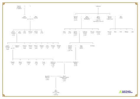 Vice President Joe Biden's Irish Family History