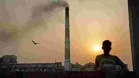 Here's 20 reasons why the unthinkable could happen. Global carbon emissions rising again after a 5.8% fall in ...