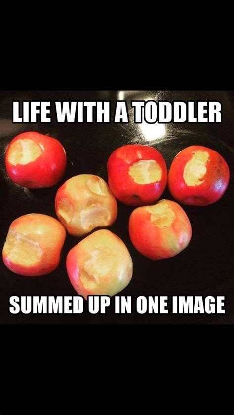 Life with a toddler | Funny parenting memes, Parenting ...