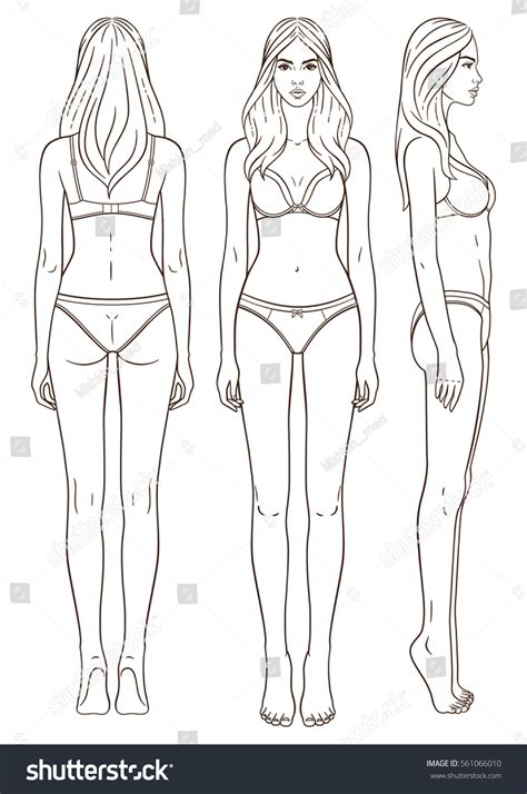 All images videos audio templates 3d premium editorial. Illustration Womans Body Isolated Outline Line Stock ...