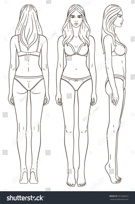 Find high quality human body clipart, all png clipart images with transparent backgroud can be download for free! Illustration Womans Body Isolated Outline Line Stock ...