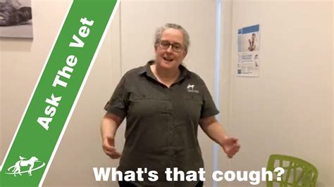 Treatment involves a combination of oral medications and injections given in the hospital. coughing dogs and cats- what is that cough? Companion ...