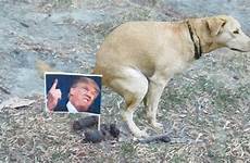 trump poop dog donald someone putting anonymously piles leaving chicago river north been next has