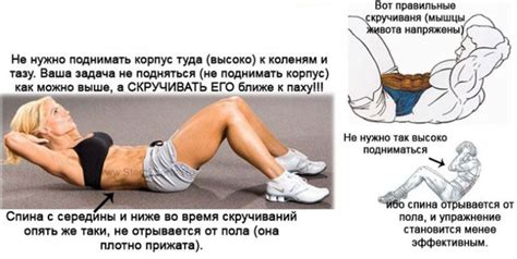 Мышцы кора что это такое и какими упражнениями их укреплять