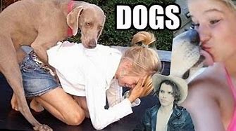 Dogs Humping People (Girls, Tigers & Other Funny Pics)