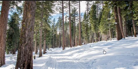 Gold creek (pdf) cle elum ranger district phone: Cabin Creek Trail | Winter Trailheads + Backcountry