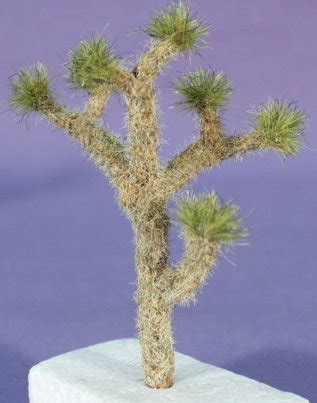 California cactus center is southen california's premiere specialty nursery featuring cactus and succulent from the around the world. HO Scale: Desert Plants (Saguaro, Joshua)