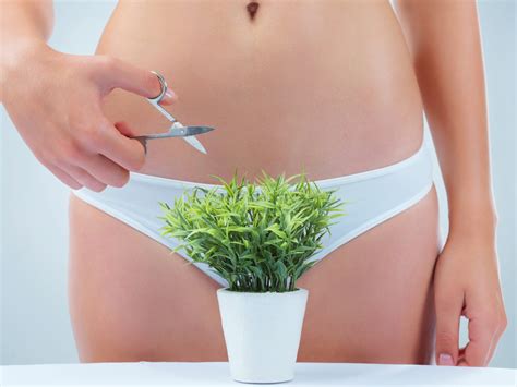 Maybe you would like to learn more about one of these? 6 Women With Natural Pubic Hair Share the Reasons They'll ...